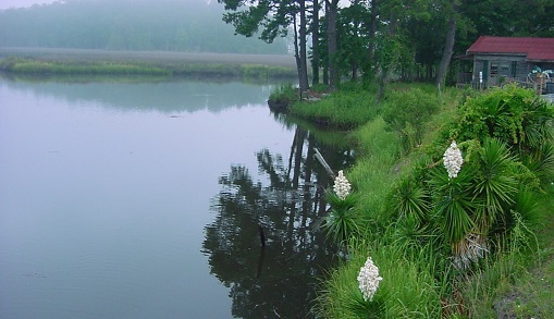 Shallotte River in Brunswick County NC